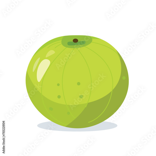 Green melon fruit flat icon vector illustration  isolated on white background