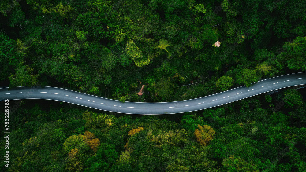 curve road on green forest, beautiful road, aerial top view 