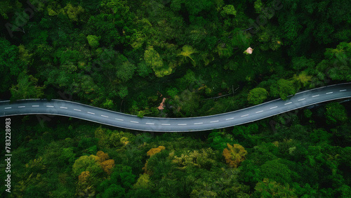 curve road on green forest, beautiful road, aerial top view  © sera