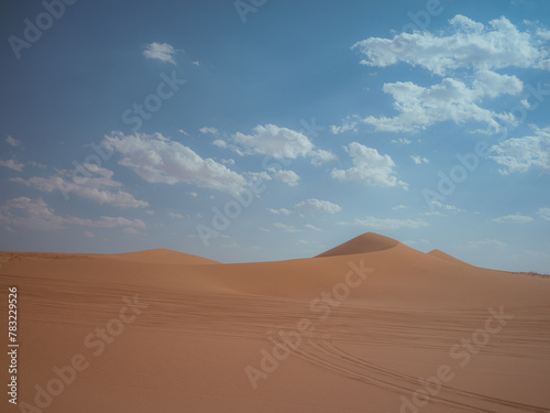 Fototapeta Naklejka Na Ścianę i Meble -  sand dunes in the desert