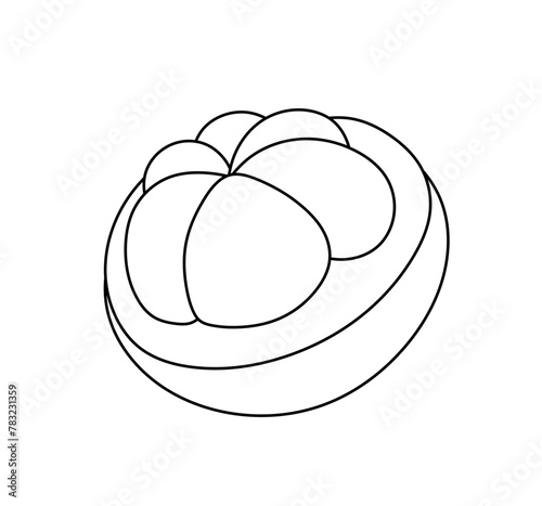 Vector isolated one single half peeled citrus fruit  ogange mandarin grapefruit colorless black and white contour line easy drawing photo