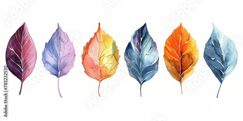 Row of five different colored leaves arranged on a white background, each displaying a unique hue