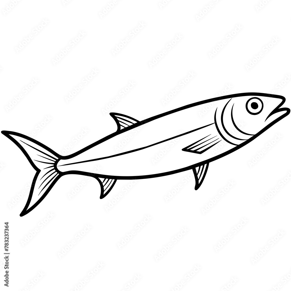 sardine fish isolated on white sardine fish isolated on white