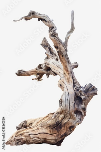 Detailed close up of a piece of drift wood. Perfect for nature or beach themed designs
