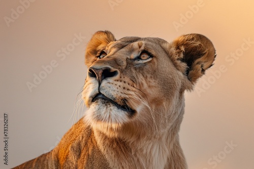 A lion coach radiating kindness and joy  against a soft light sienna backdrop  ready to inspire and uplift 