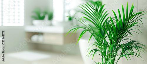 close up houseplant in the blurred corner modern bathroom