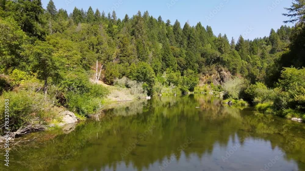 Forest stream, lazy river, green trees, mountains Forest stream, lazy river, green trees, mountains