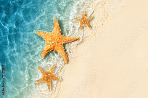 Starfish on the summer beach in sea water. Summer background. © Belight