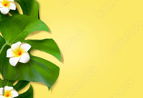 Top view of holiday travel beach with flower plumeria and monstera leaves on yellow background