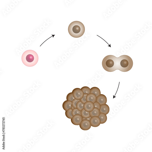 Cancer disease development. Malignant tumor. Medical biological, scientific vector illustration.	