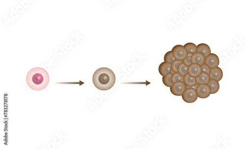 Cancer disease development. Malignant tumor. Medical biological, scientific vector illustration.	
