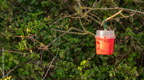 a red insect trap hung on a bush