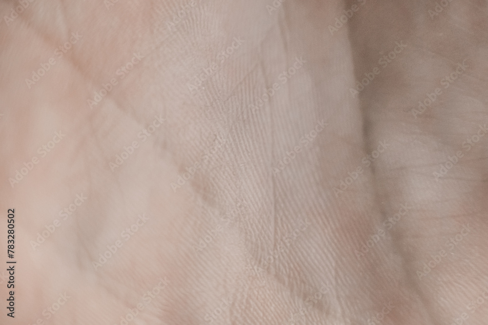 Hand Palm Skin Pattern Texture Hand Palm Skin Pattern Texture