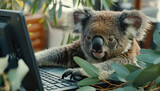koala marketing managers calmly overseeing campaigns from laptop