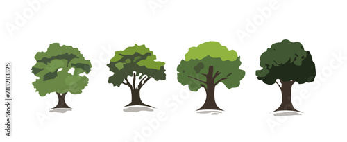 Set of trees vector illustrations isolated on white background. Botanical collection of trees useful to illustrate any nature or healthy lifestyle topic