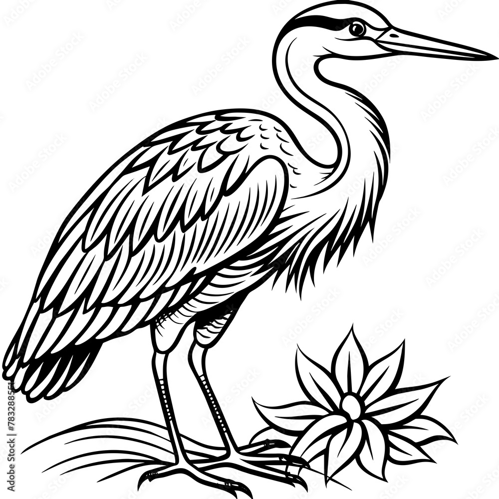 Fototapeta premium coloring-pages-for-children heron