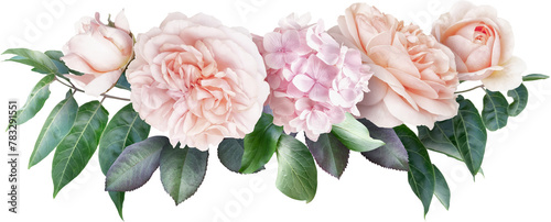 Pink roses and hydrangea isolated on a transparent background. Png file.  Floral arrangement, bouquet of garden flowers. Can be used for invitations, greeting, wedding card.