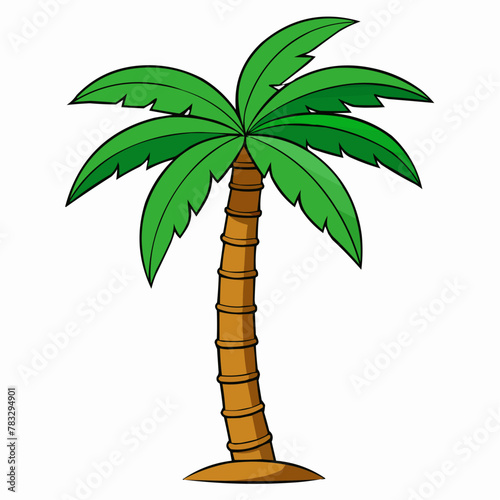 coconut tree