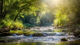 Beautiful water flows gently on the riverbed in midsummer, and the gentle light of the sun illuminates the surrounding area, creating a beautiful backdrop.