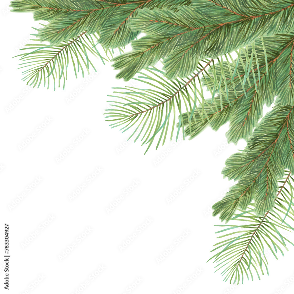 Square frame made of pine and spruce branches. Illustration with watercolor and marker. Christmas background with evergreen plant. Hand drawn isolated art. Nature template for the New Year with cedar Square frame made of pine and spruce branches. Illustration with watercolor and marker. Christmas background with evergreen plant. Hand drawn isolated art. Nature template for the New Year with cedar