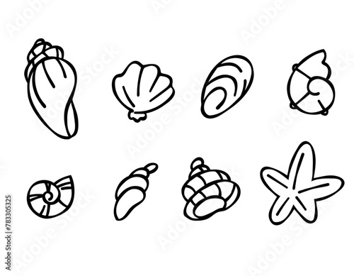 Set of seashells in doodle style, black outline sketch isolated elements on white background for design template. Ocean flora. Coloring. Clip art