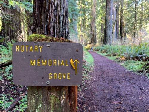 Woman and boy hiking at the National Redwood Park in Northern California. Fun Funny Detail with Banana Slug Climbing Up the Trail Sign. Back view. Mother and Son. Active lifestyle.  photo