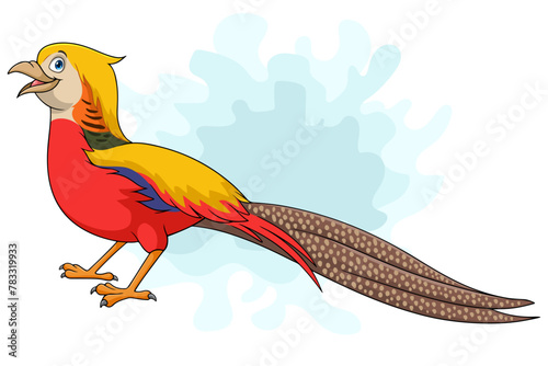 Cartoon golden pheasant bird on white background