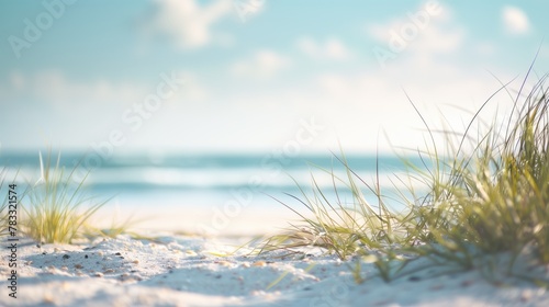 Summer exotic sandy beach with sea on background