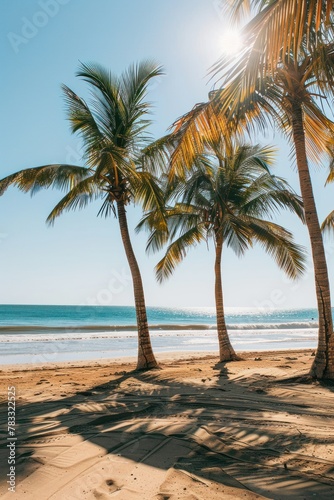 A beach with palm trees and the sun shining.