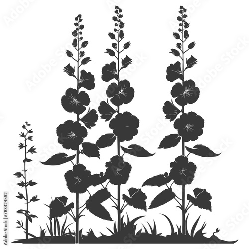 Silhouette hollyhocks flower in the ground black color only