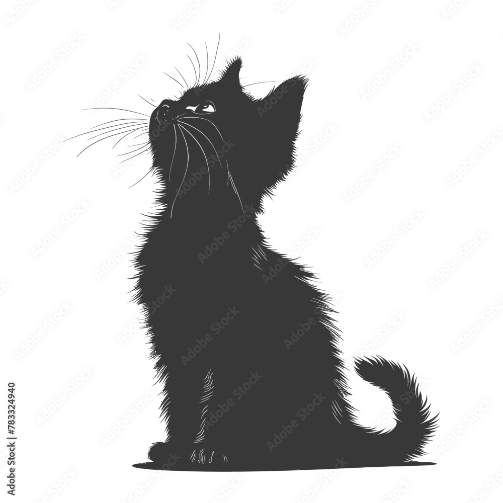 Silhouette kitten animal playing fur black color only