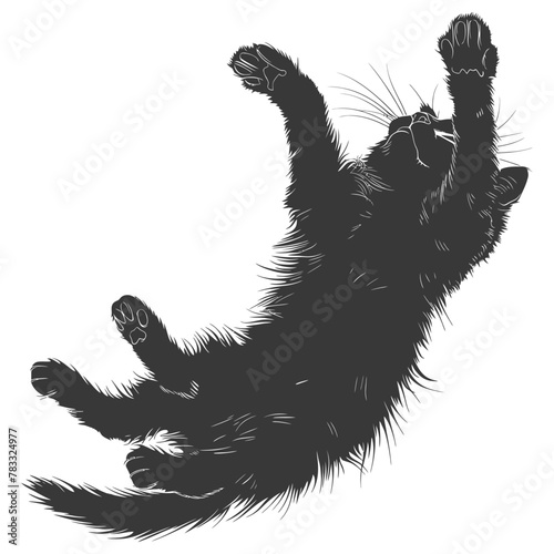 Silhouette kitten animal playing woll roll black color only photo