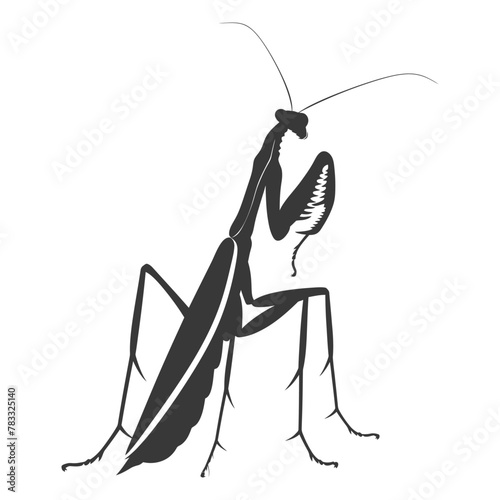 Silhouette mantis animal black color only full body