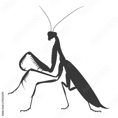 Silhouette mantis animal black color only full body