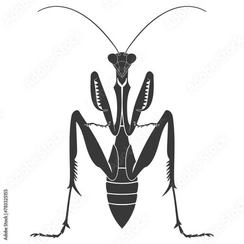 Silhouette mantis animal black color only full body