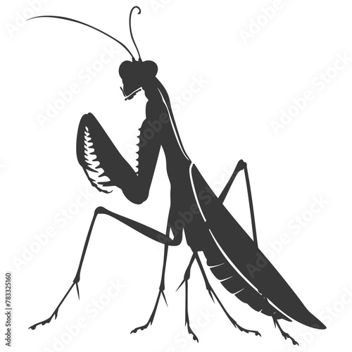 Silhouette mantis animal black color only full body