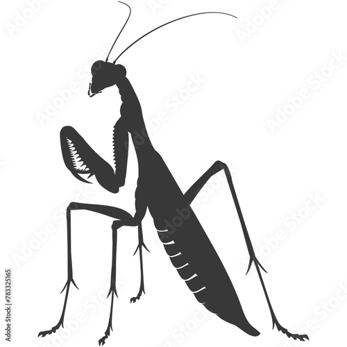 Silhouette mantis animal black color only full body