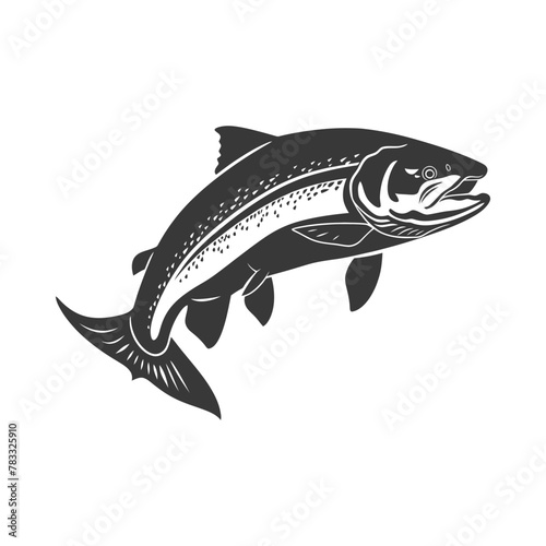 Silhouette salmon fish animal black color only full body