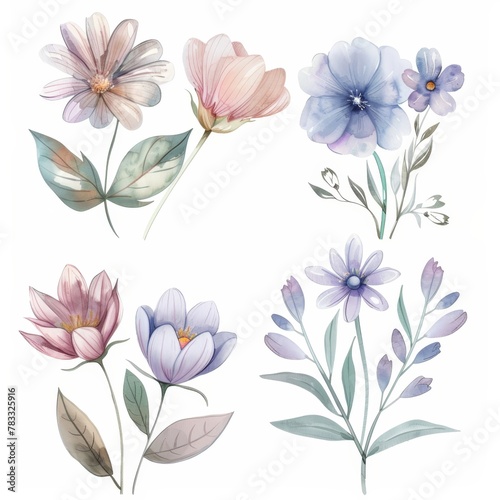 set of watercolor flowers