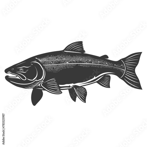 Silhouette salmon fish animal black color only full body