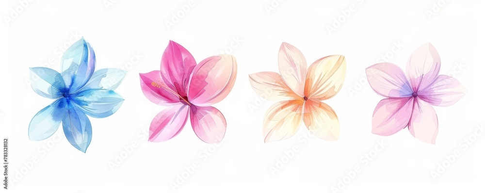 set of watercolor flowers set of watercolor flowers
