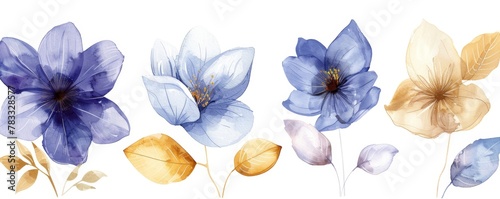 set of watercolor flowers