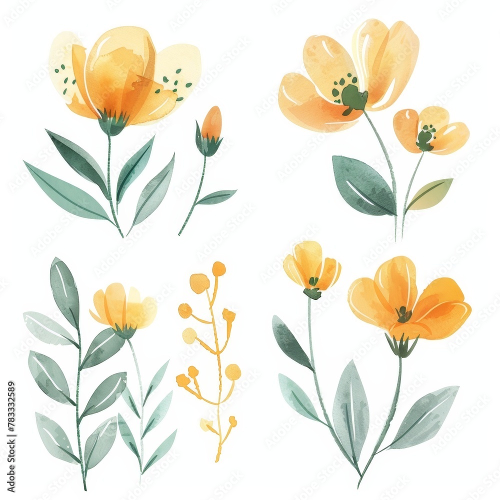 set of watercolor flowers set of watercolor flowers