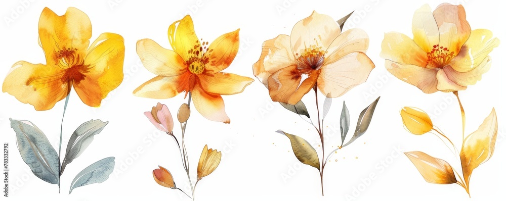 set of watercolor flowers set of watercolor flowers