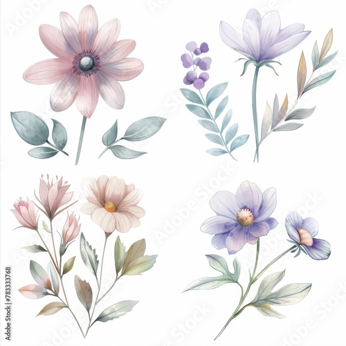 set of watercolor flowers