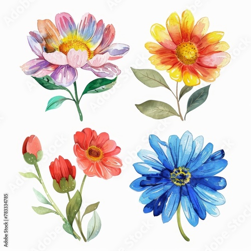 set of watercolor flowers