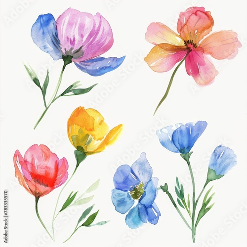 set of watercolor flowers