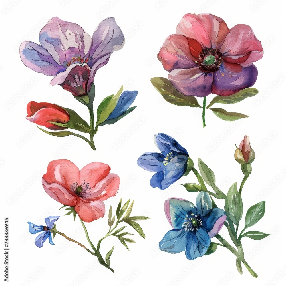 set of watercolor flowers set of watercolor flowers