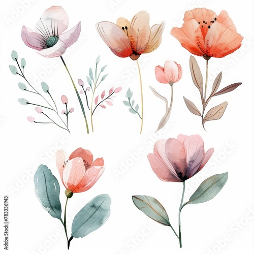 set of watercolor flowers