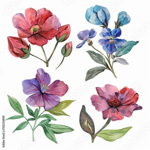 set of watercolor flowers